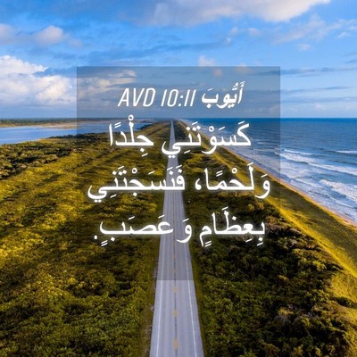 Picture 04 - أَيُّوبَ 10:11 AVD - كَسَوْتَنِي جِلْدًا - Bible Verse Picture