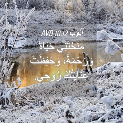 Picture 04 - أَيُّوبَ 10:12 AVD - مَنَحْتَنِي حَيَاةً - Bible Verse Picture