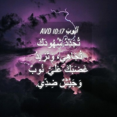 Picture 04 - أَيُّوبَ 10:17 AVD - تُجَدِّدُ شُهُودَكَ - Bible Verse Picture