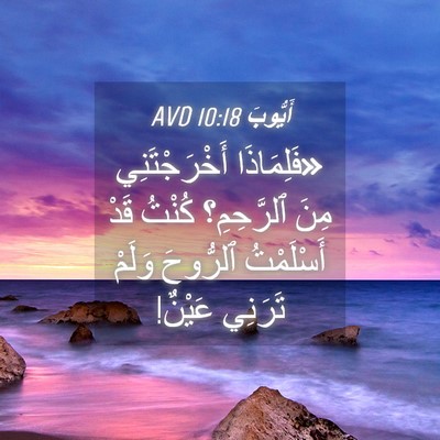 Picture 04 - أَيُّوبَ 10:18 AVD - «فَلِمَاذَا أَخْرَجْتَنِي - Bible Verse Picture