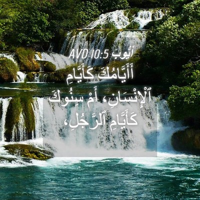 Picture 04 - أَيُّوبَ 10:5 AVD - أَأَيَّامُكَ كَأَيَّامِ - Bible Verse Picture
