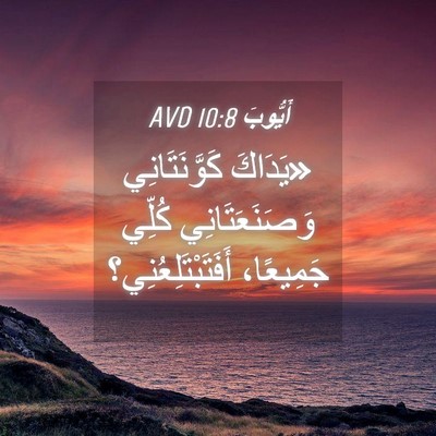 Picture 04 - أَيُّوبَ 10:8 AVD - «يَدَاكَ كَوَّنَتَانِي - Bible Verse Picture