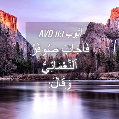 Picture 04 - أَيُّوبَ 11:1 AVD - فَأَجَابَ صُوفَرُ - Bible Verse Picture
