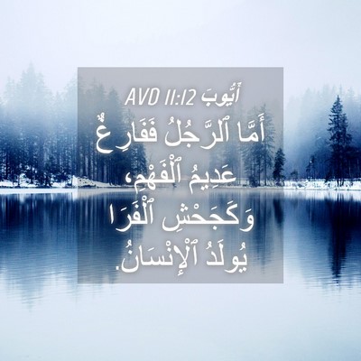 Picture 04 - أَيُّوبَ 11:12 AVD - أَمَّا ٱلرَّجُلُ - Bible Verse Picture