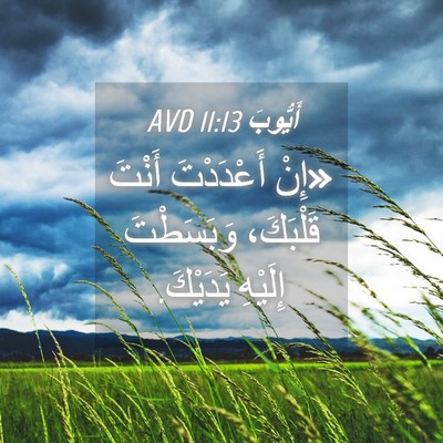 Picture 04 - أَيُّوبَ 11:13 AVD - «إِنْ أَعْدَدْتَ أَنْتَ - Bible Verse Picture