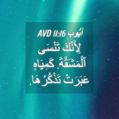 Picture 04 - أَيُّوبَ 11:16 AVD - لِأَنَّكَ تَنْسَى - Bible Verse Picture