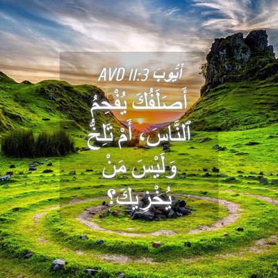 Picture 04 - أَيُّوبَ 11:3 AVD - أَصَلَفُكَ يُفْحِمُ - Bible Verse Picture
