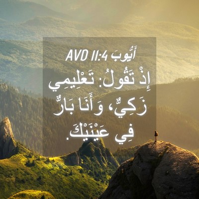 Picture 04 - أَيُّوبَ 11:4 AVD - إِذْ تَقُولُ: تَعْلِيمِي - Bible Verse Picture