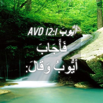 Picture 04 - أَيُّوبَ 12:1 AVD - فَأَجَابَ أَيُّوبُ - Bible Verse Picture