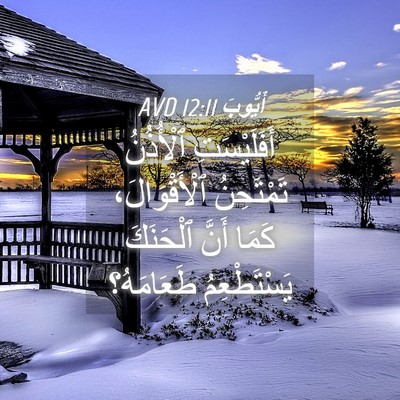Picture 04 - أَيُّوبَ 12:11 AVD - أَفَلَيْسَتِ ٱلْأُذُنُ - Bible Verse Picture