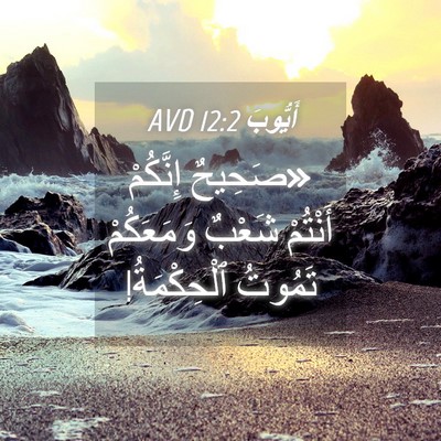 Picture 04 - أَيُّوبَ 12:2 AVD - «صَحِيحٌ إِنَّكُمْ - Bible Verse Picture