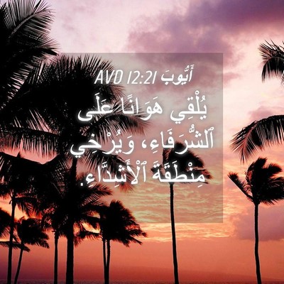 Picture 04 - أَيُّوبَ 12:21 AVD - يُلْقِي هَوَانًا عَلَى - Bible Verse Picture