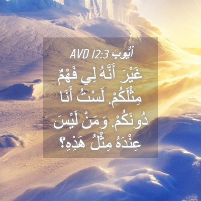 Picture 04 - أَيُّوبَ 12:3 AVD - غَيْرَ أَنَّهُ لِي فَهْمٌ - Bible Verse Picture