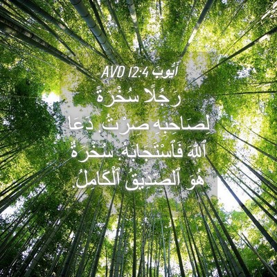 Picture 04 - أَيُّوبَ 12:4 AVD - رَجُلًا سُخْرَةً - Bible Verse Picture