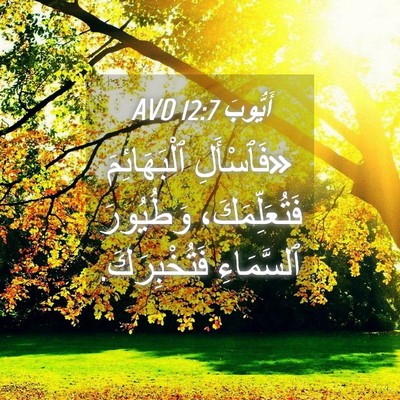 Picture 04 - أَيُّوبَ 12:7 AVD - «فَٱسْأَلِ ٱلْبَهَائِمَ - Bible Verse Picture