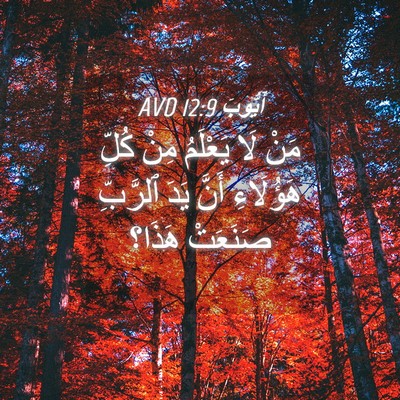 Picture 04 - أَيُّوبَ 12:9 AVD - مَنْ لَا يَعْلَمُ مِنْ - Bible Verse Picture