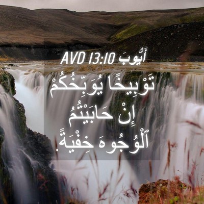 Picture 04 - أَيُّوبَ 13:10 AVD - تَوْبِيخًا يُوَبِّخُكُمْ - Bible Verse Picture
