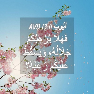 Picture 04 - أَيُّوبَ 13:11 AVD - فَهَلَّا يُرْهِبُكُمْ - Bible Verse Picture