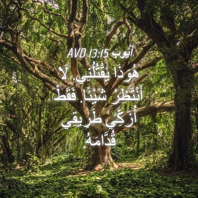 Picture 04 - أَيُّوبَ 13:15 AVD - هُوَذَا يَقْتُلُنِي. لَا - Bible Verse Picture