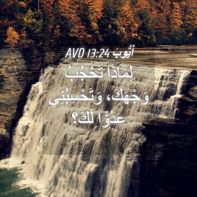 Picture 04 - أَيُّوبَ 13:24 AVD - لِمَاذَا تَحْجُبُ - Bible Verse Picture