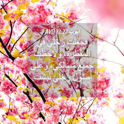 Picture 04 - أَيُّوبَ 13:27 AVD - فَجَعَلْتَ رِجْلَيَّ فِي - Bible Verse Picture