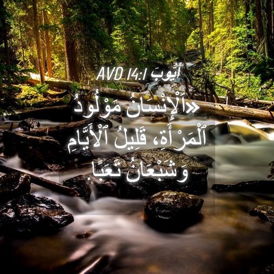 Picture 04 - أَيُّوبَ 14:1 AVD - «اَلْإِنْسَانُ مَوْلُودُ - Bible Verse Picture