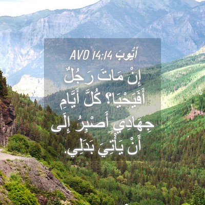 Picture 04 - أَيُّوبَ 14:14 AVD - إِنْ مَاتَ رَجُلٌ - Bible Verse Picture