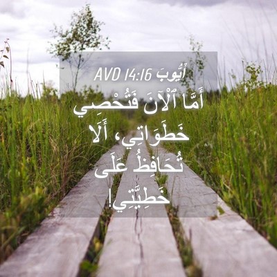 Picture 04 - أَيُّوبَ 14:16 AVD - أَمَّا ٱلْآنَ فَتُحْصِي - Bible Verse Picture