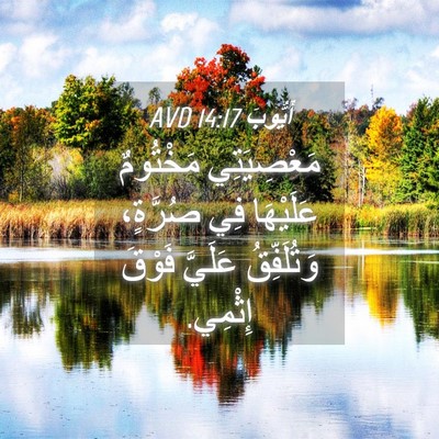 Picture 04 - أَيُّوبَ 14:17 AVD - مَعْصِيَتِي مَخْتُومٌ - Bible Verse Picture