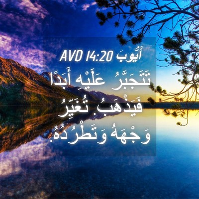 Picture 04 - أَيُّوبَ 14:20 AVD - تَتَجَبَّرُ عَلَيْهِ - Bible Verse Picture