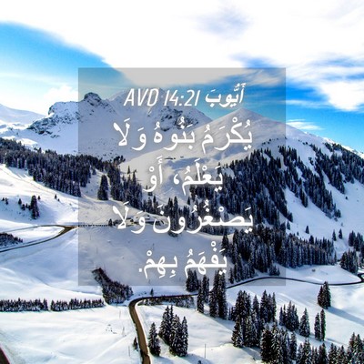 Picture 04 - أَيُّوبَ 14:21 AVD - يُكْرَمُ بَنُوهُ وَلَا - Bible Verse Picture