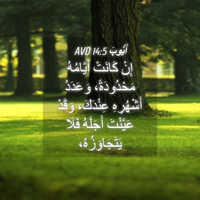 Picture 04 - أَيُّوبَ 14:5 AVD - إِنْ كَانَتْ أَيَّامُهُ - Bible Verse Picture