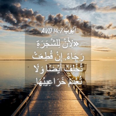 Picture 04 - أَيُّوبَ 14:7 AVD - «لِأَنَّ لِلشَّجَرَةِ - Bible Verse Picture