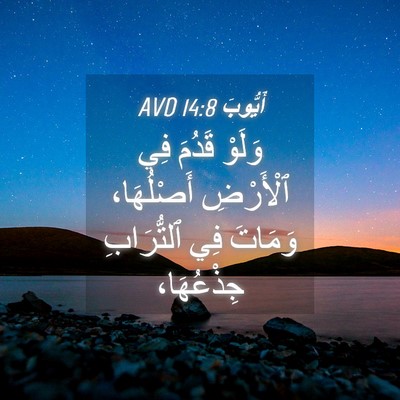 Picture 04 - أَيُّوبَ 14:8 AVD - وَلَوْ قَدُمَ فِي - Bible Verse Picture