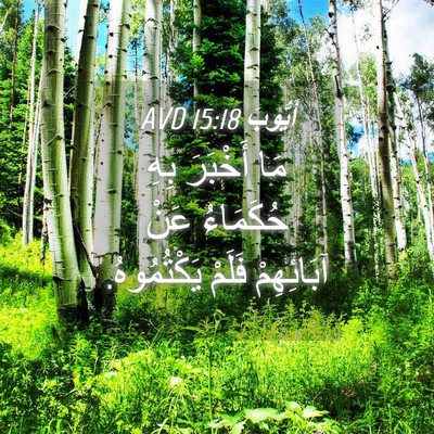 Picture 04 - أَيُّوبَ 15:18 AVD - مَا أَخْبَرَ بِهِ - Bible Verse Picture