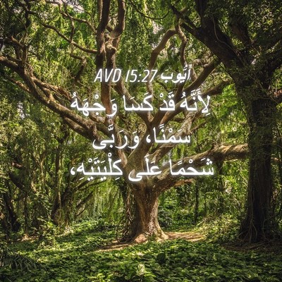 Picture 04 - أَيُّوبَ 15:27 AVD - لِأَنَّهُ قَدْ كَسَا - Bible Verse Picture