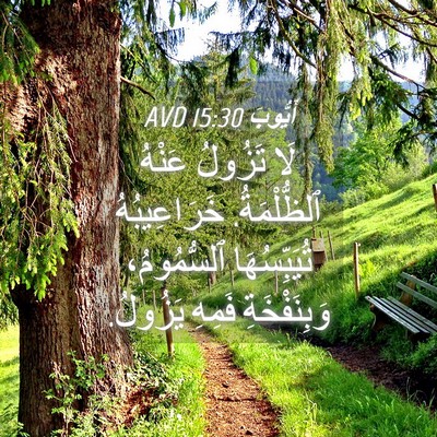 Picture 04 - أَيُّوبَ 15:30 AVD - لَا تَزُولُ عَنْهُ - Bible Verse Picture