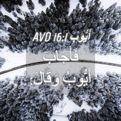 Picture 04 - أَيُّوبَ 16:1 AVD - فَأَجَابَ أَيُّوبُ - Bible Verse Picture