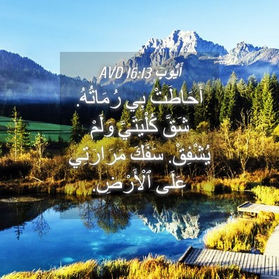 Picture 04 - أَيُّوبَ 16:13 AVD - أَحَاطَتْ بِي رُمَاتُهُ. - Bible Verse Picture