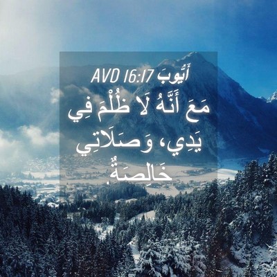Picture 04 - أَيُّوبَ 16:17 AVD - مَعَ أَنَّهُ لَا ظُلْمَ - Bible Verse Picture