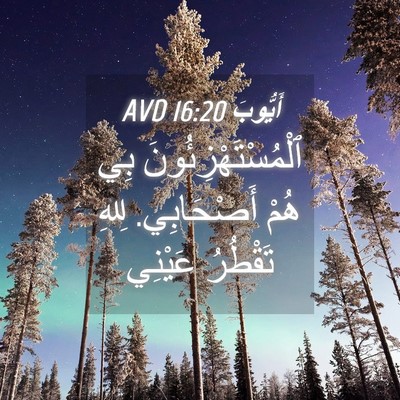 Picture 04 - أَيُّوبَ 16:20 AVD - ٱلْمُسْتَهْزِئُونَ بِي - Bible Verse Picture