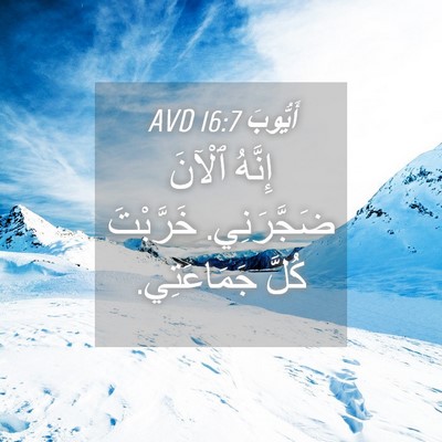Picture 04 - أَيُّوبَ 16:7 AVD - إِنَّهُ ٱلْآنَ ضَجَّرَنِي. - Bible Verse Picture
