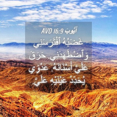 Picture 04 - أَيُّوبَ 16:9 AVD - غَضَبُهُ ٱفْتَرَسَنِي - Bible Verse Picture