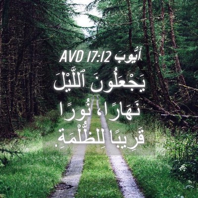 Picture 04 - أَيُّوبَ 17:12 AVD - يَجْعَلُونَ ٱللَّيْلَ - Bible Verse Picture