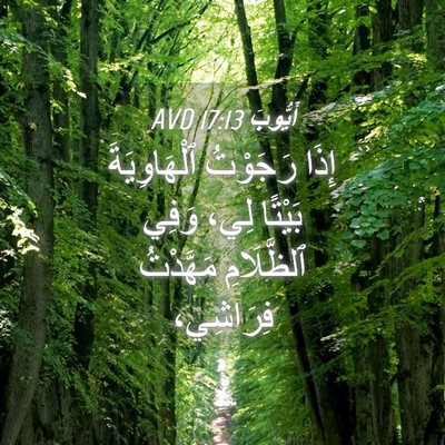 Picture 04 - أَيُّوبَ 17:13 AVD - إِذَا رَجَوْتُ - Bible Verse Picture