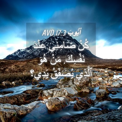Picture 04 - أَيُّوبَ 17:3 AVD - كُنْ ضَامِنِي عِنْدَ - Bible Verse Picture