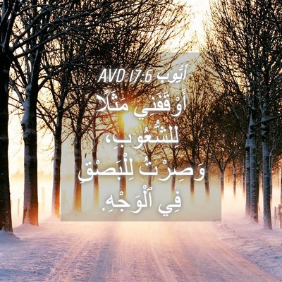 Picture 04 - أَيُّوبَ 17:6 AVD - أَوْقَفَنِي مَثَلًا - Bible Verse Picture