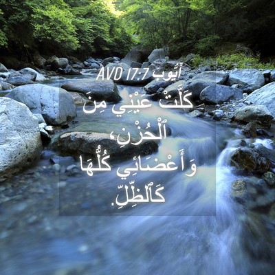Picture 04 - أَيُّوبَ 17:7 AVD - كَلَّتْ عَيْنِي مِنَ - Bible Verse Picture