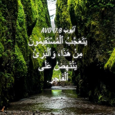 Picture 04 - أَيُّوبَ 17:8 AVD - يَتَعَجَّبُ - Bible Verse Picture