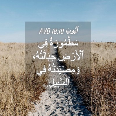 Picture 04 - أَيُّوبَ 18:10 AVD - مَطْمُورَةٌ فِي ٱلْأَرْضِ - Bible Verse Picture